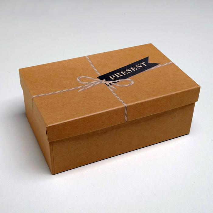 Коробка крафтовая "Present", 22*14*9 см